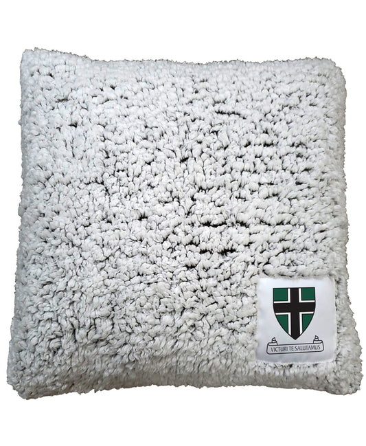 Frosty Fleece Pillow